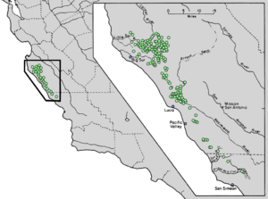 Abies bracteata range map 4.png