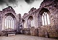 Askeaton Franciscan Friary3,Limerick, Ireland