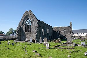 Athenry Priory NE 2009 09 13