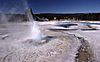 Bead Geyser-Schmidt1977.jpg