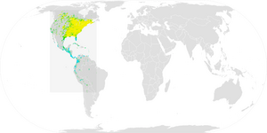 Broad-Winged Hawk Range.png