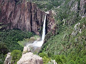 Cascada de Basaseachi