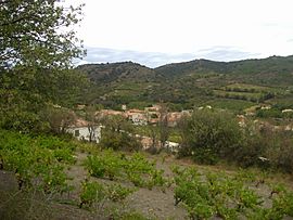 Cascastel-des-Corbières.jpg