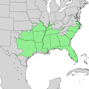 Celtis laevigata range map 2.png