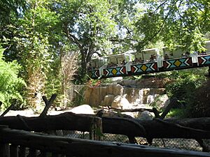 Dallas Zoo Monorail