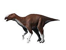 Eotrachodon NT small