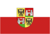 Flag of Wiener Neustadt