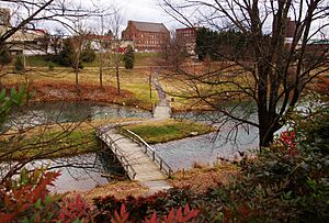 Greenbelt-park-bridge-tn1