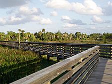 Greencayboardwalk