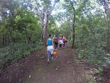 Guanacaste National Park in Costa Rica