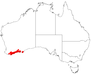 Hakea denticulataDistMap37.png