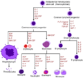 Hematopoietic growth factors