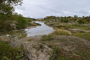 Houghton Regis Marl Lakes 20.JPG