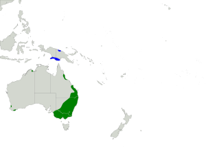 Ixobrychus dubius map.svg