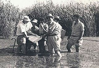 Janco in Hula, 1938