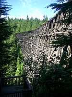 Kinsol Trestle in 2006, Canada.jpg