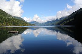 Lake Crescent spring