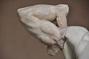 Laocoon-arm