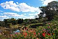 Maleny Botanic Gardens