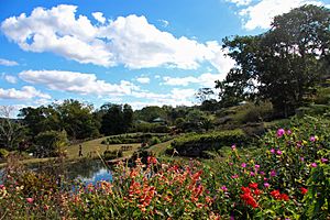 Maleny Botanic Gardens