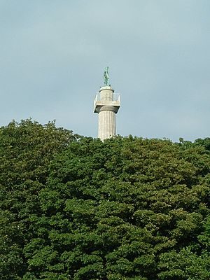 Marquess of Anglesey's Column