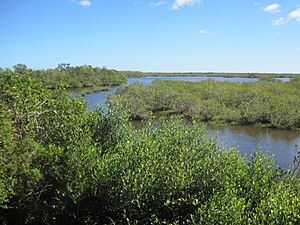 Merritt Island National Wildlife Refuge