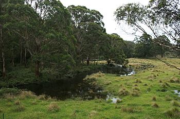 Mongarlowe River.jpg