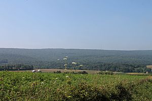 Montour Ridge