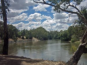 Murrumbidgee River (Irrigation peak)