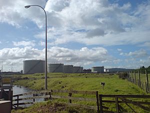 Oil Tanks, Tank Farm, In Manukau City.jpg