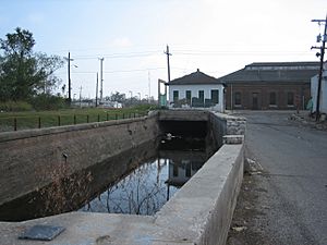 OldCanalCarondoletBroadPumps