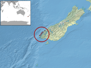 Oligosoma acrinasum distribution (colored).png