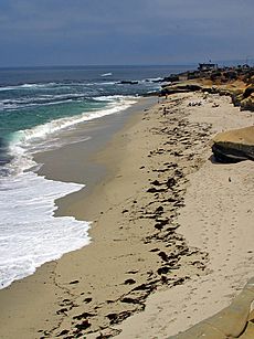 Pdphoto lajolla 6 bg 060504