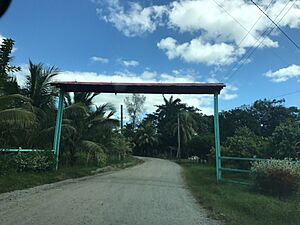 Entrance of Perez Perez