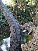 Permanente Creek weir