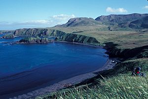 Rat Island, Aleutian Islands