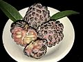 Red Sugar Apple