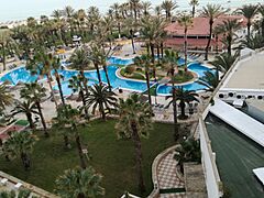 Riadh Palm Sousse