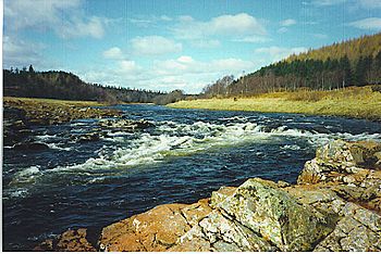 River Dee at Potarch. - geograph.org.uk - 110070.jpg