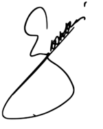 Sapkowski A signature.svg