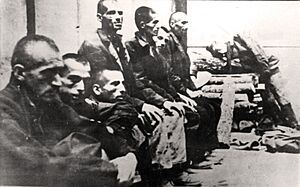 Serb prisoners in Jasenovac, 1942