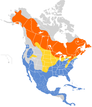 Setophaga coronata map.svg