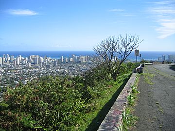 Tantalus Panorama.jpg