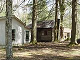 Trentham-cabin-elk