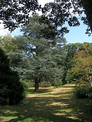 Wakehurst Place gardens1