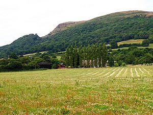 Ysgyryd Fawr - geograph.org.uk - 889578