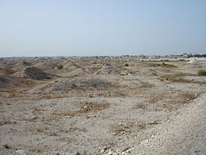 A'ali Burial Mounds