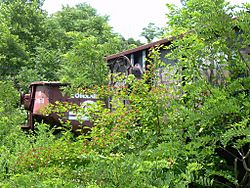 Abandoned cars