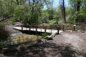 Alley Pond Environmental Center (518527029)