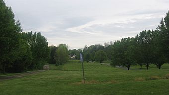 Bone Stone Graves site overview.jpg